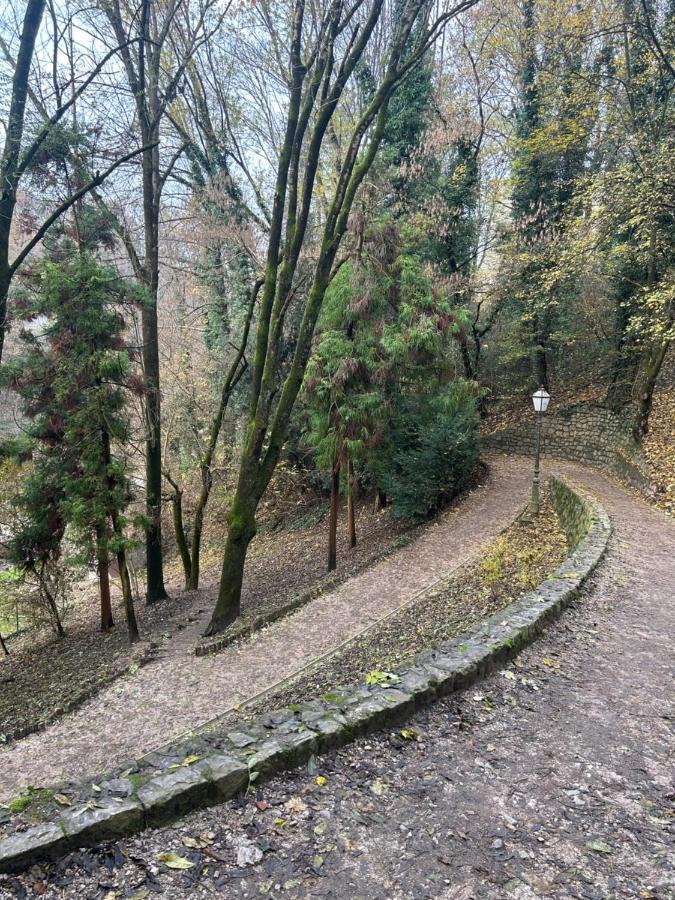 Historic Center-Lovely Nature Zagreb Extérieur photo